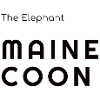 The Elephant Maine Coon - Confortaa Style