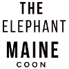 The Elephant Maine Coon - Beubasnue Style