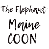 The elephant Maine Coon - Lemon style