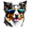 Australischer Schäferhund Hundehalter Hundewelpe
