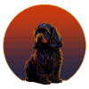 Cavapoo retro sunset