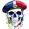 Skull military beret France