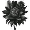 Black flower