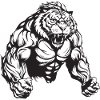 Musculation Tiger Muscles