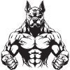 Dog Muscles Bodybuilding