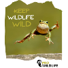 KEEP WILDLIFE WILD Frosch