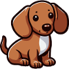 Chiot teckel mignon, chien