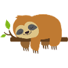 Sleeping sloth on a branch