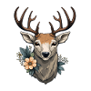 Deer Flowers