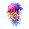 Bunte Qualle