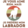 Labrador retro