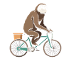 Sloth