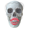 Skull with red lips