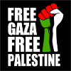 Free gaza Free palestine
