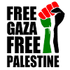 Free gaza Free palestine