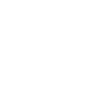 School Psychologist