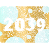 2039