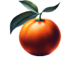 Talking Mandarin Magic : Parlez-vous chinois ?