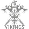 Viking Voyage