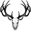 Deer Antler Skull