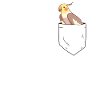 Budgie In Breast Pocket