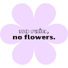 No Rain, No Flowers