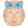 Capybaras with sunglasses Capybara