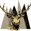 Hirsch