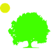 Tree Sun