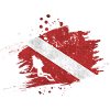 Scuba Diver Flag | Scuba Diving