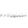 Denizlili