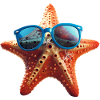 Starfish Sunglasses