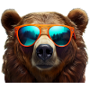 Bear Sunglasses