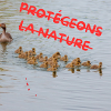 Let's protect nature
