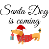 Santa Dog