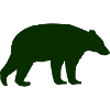 ours