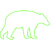 Bear 1