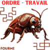 Ant - Fourmi