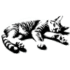 Lazy Cat Sleeping Cat | Hangover