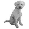 Lagotto Romagnolo sticker