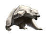 Angry Bear