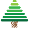 CHRISTMAS Geometric Christmas Tree