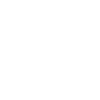 Leader