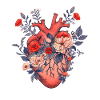 Anatomie Herz Blumen Rose