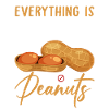 Peanut Allergy Nut Allergy Allergy
