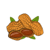 Peanut Allergi Nut Allergi Allergi