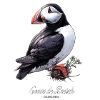 Atlantic Puffin Bretagne Heart of Breizh