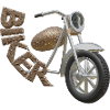 Motorcycle Biker Bike
