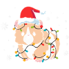 Hamster Christmas