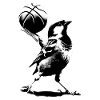 Ulmer SSV Spatz Basketball